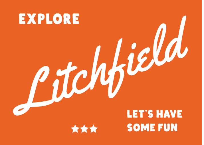 The Litchfield Ledger